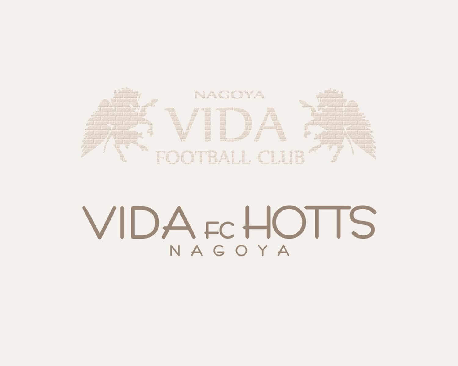 31年度 VIDA FC HOTTS 練習体験会