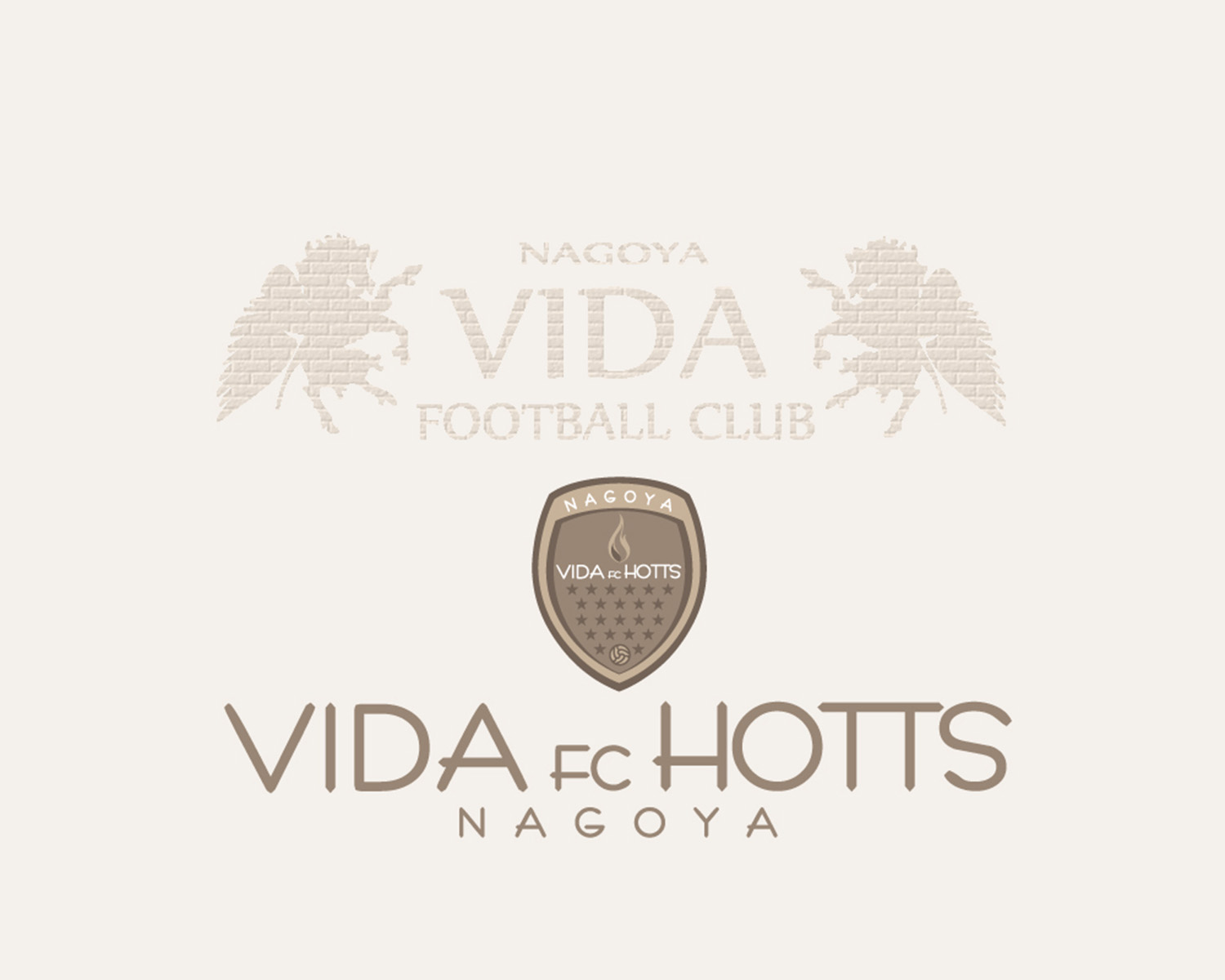 28年度 VIDA FC HOTTS練習体験会