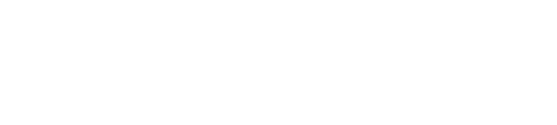 NAGOYA VIDA FC